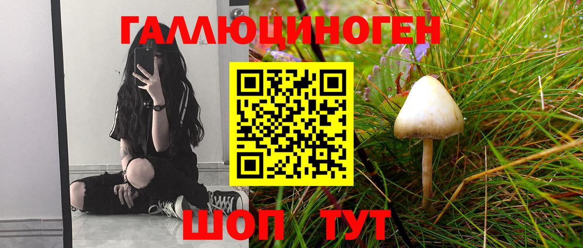 Галлюциногенные грибы прущие грибы  Вход с VPN  Мурманск 