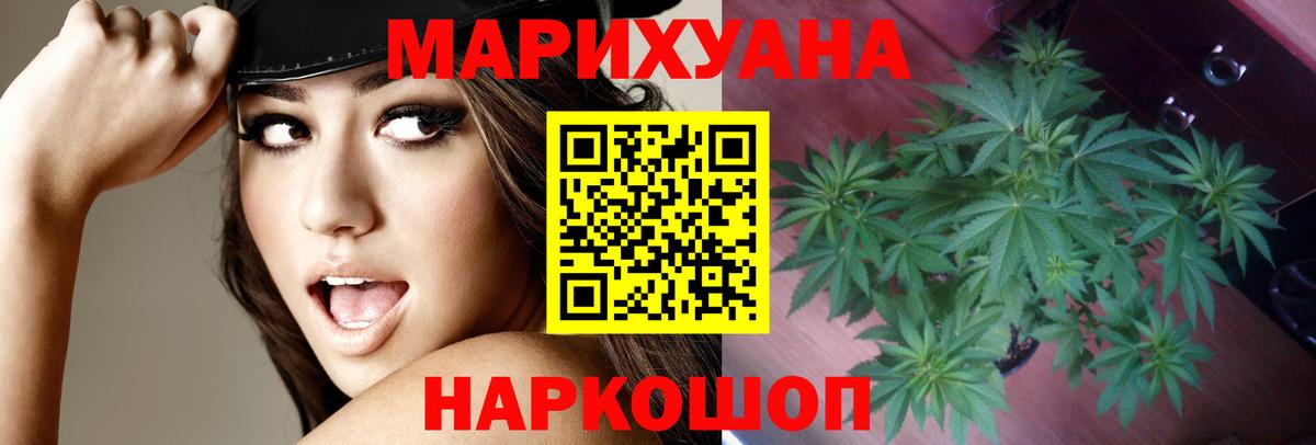 Бошки марихуана SATIVA & INDICA  Вход с VPN  Мурманск  МАРИХУАНА Ganja  МАРИХУАНА OG Kush  Шишки марихуана SATIVA & INDICA 